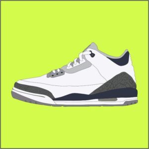 Air Jordan 3